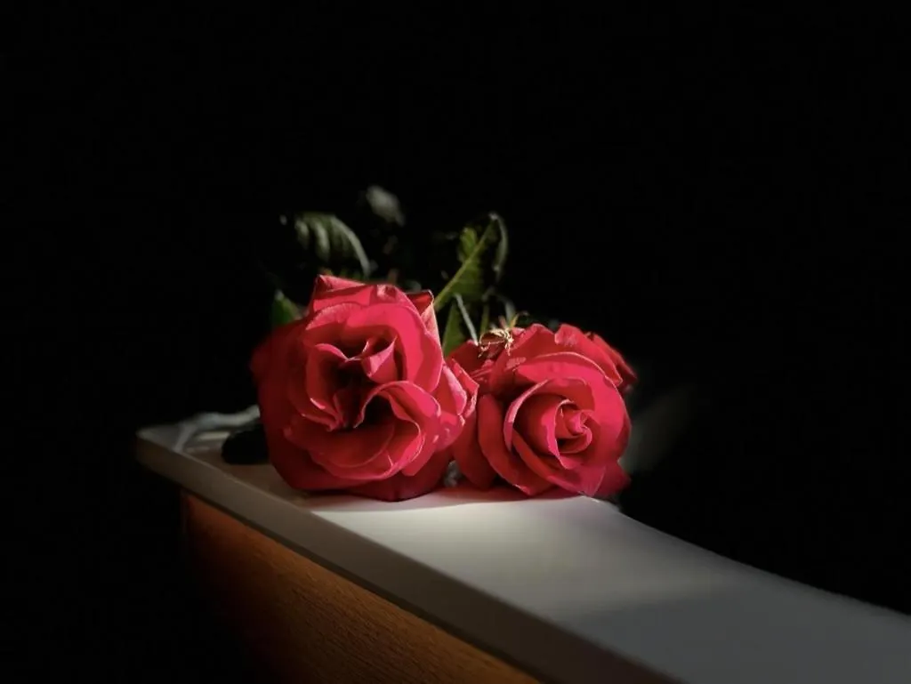 Amour Amour Love Room Penvenan