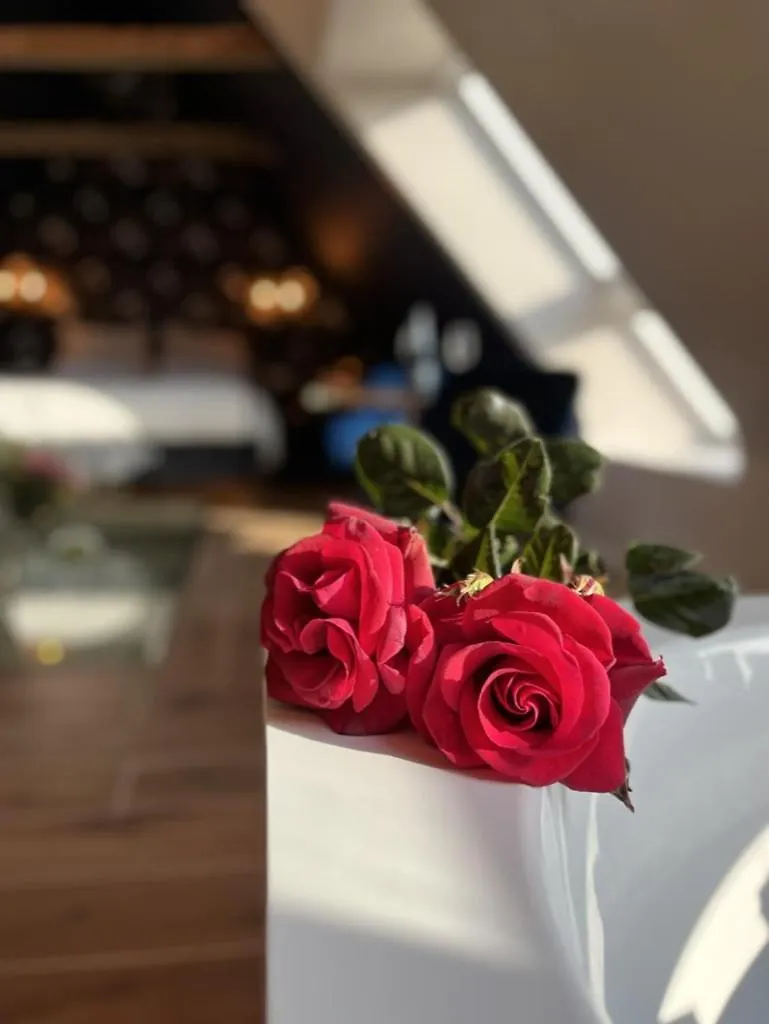 Amour Amour Love Room Penvenan 0*,