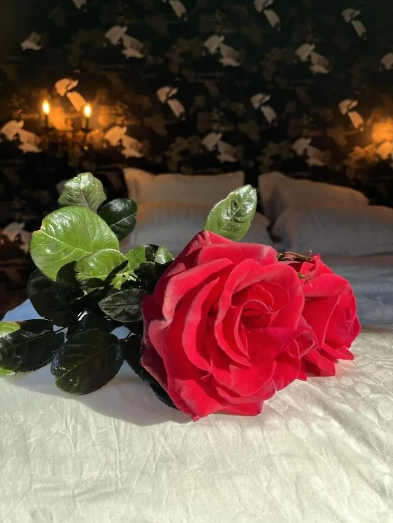 Holiday home Amour Amour Love Room Penvenan